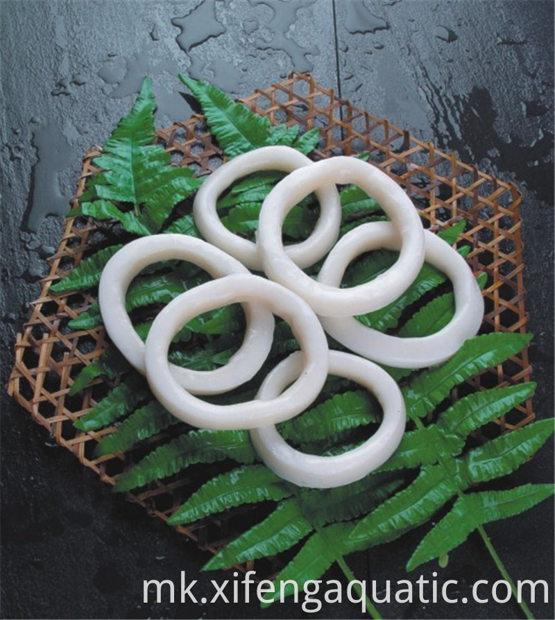 Todarodes лигњи прстени Todarodes Squid Rings